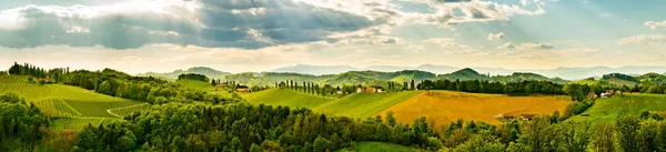 Uva colline vista dalla strada del vino in Austria. Sud Stiria vigneti paesaggio. Sulztal — Foto Stock