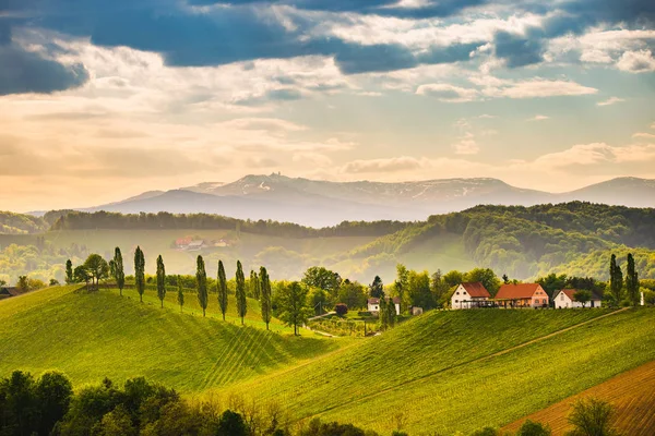 Blick auf die Weinberge von der Weinstraße in Österreich. Südsteirische Weinbaulandschaft. sulztal — Stockfoto