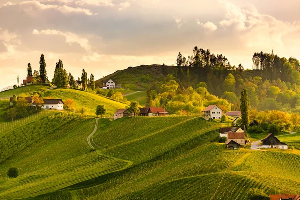 Colinas de uva vista da estrada do vinho na Áustria. Sul styria vinhedos paisagem. Sulztal — Fotografia de Stock
