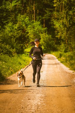 Sport girl is running with a dog (Beagle) at the spring sunny day on the forest path.