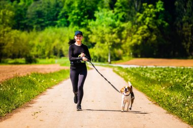 Sport girl is running with a dog (Beagle) on the rural road.