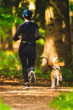 Ormanda bir yolda doğada beagle köpek açık havada yürüyüş Kız.