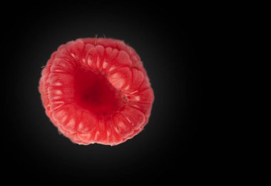 Ahududu. Ahududu izole edilmiş. Sol yatay siyah arka plan üzerinde Ahududu