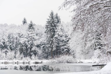 White winter landscape forest and fields countryside