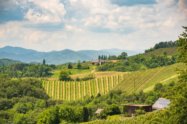 Sulztal, Stiria / Austria - 2 giugno 2018: Vigneti Sulztal Leibn — Foto Stock