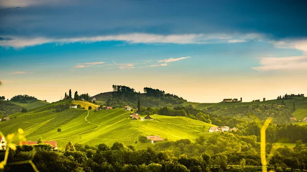 Austria, Slovenia Vigneti Sulztal area sud Stiria, vino cou — Foto Stock