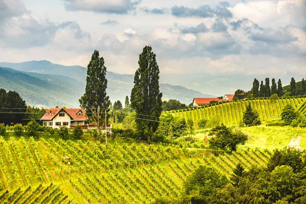 Österreich, Slowenien Weinberge Sulztal Südsteiermark, Weinkeller — Stockfoto