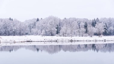 White winter landscape forest and fields countryside
