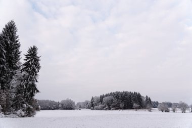 White winter landscape forest and fields countryside