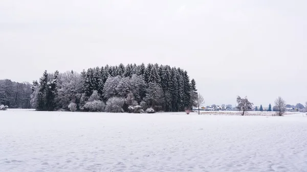 White winter landscape forest and fields countryside — Stockfoto