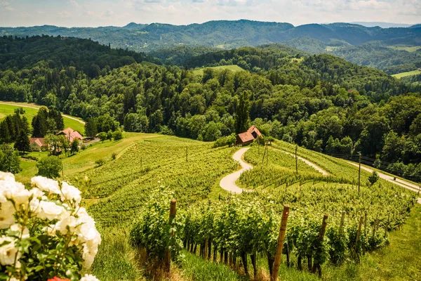 Famosa strada del vino a forma di cuore in Austria / Slovenia viaggio desti — Foto Stock