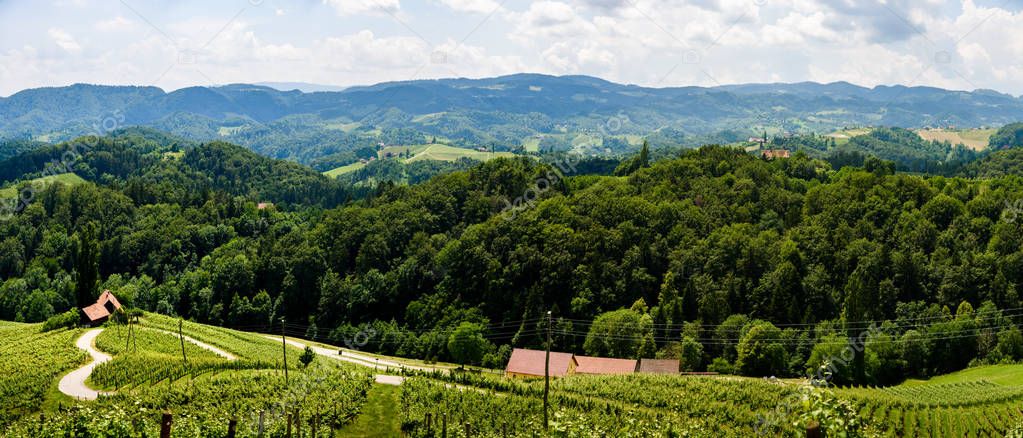 Famous Heart shaped wine road in Austria / Slovenia travel desti