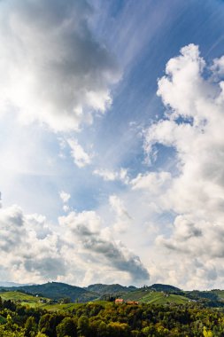 Avusturya üzüm bağları Leibnitz alan Güney Steiermark seyahat spot