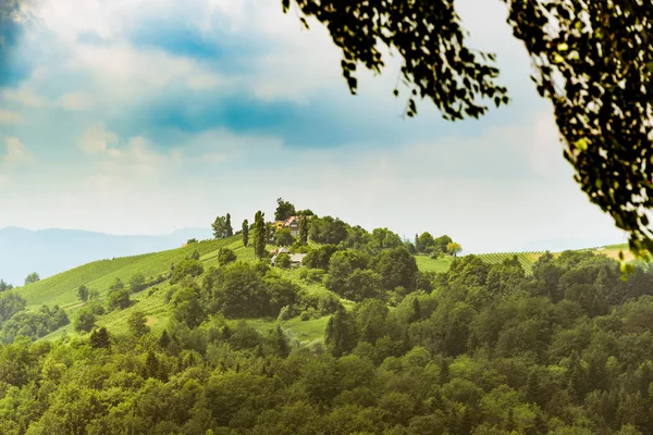 Österreich Weinberge Weinstraße Südsteiermark Reiseziel — Stockfoto