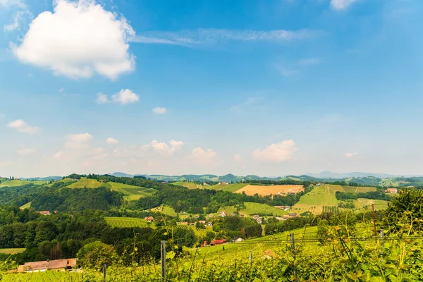 Austria Vigneti Leibnitz zona sud Stiria Viaggi — Foto Stock