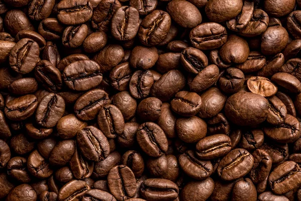 Coffee beans — Stock Photo, Image