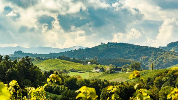 Autriche Vignobles Leibnitz région sud Styrie lieu de voyage — Photo