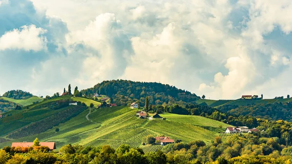 Австрия Виноградники Лейбниц области к югу от Штирии — стоковое фото