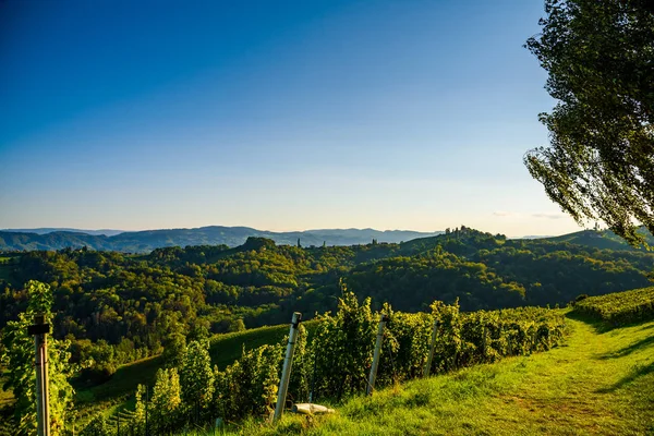 Rakouská vinice Sulztal vinařské ulice Jižní Štýrsko, víno c — Stock fotografie