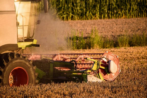 Birleştirmek ile buğday tarlası hasat