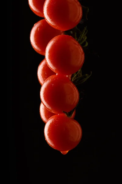 Ramo de tomates cherry — Foto de Stock