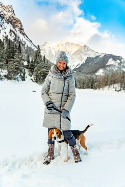 Beagle perro primera vez en la nieve con el propietario . — Foto de Stock