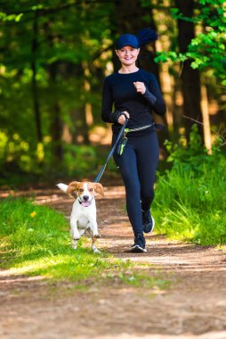 Kız bir köpek (Beagle) ile ilkbaharda bir tasma üzerinde, ormanda güneşli bir gün çalışıyor