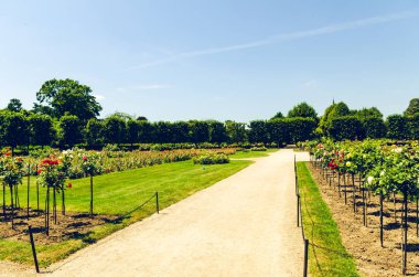 Viyana'da schonbrunn sarayının Imparatorluk gül bahçeleri
