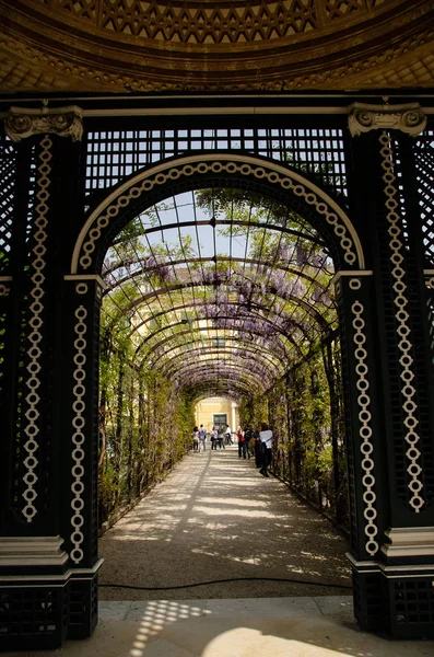 Viyana'da schonbrunn sarayının Imparatorluk bahçeleri — Stok fotoğraf