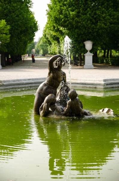 Viyana Avusturya'da Schonbrunn sarayı Unesco bahçelerinde görünümü. — Stok fotoğraf