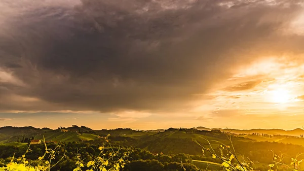 Weinberge in Österreich Südsteiermark, Weinland, — Stockfoto