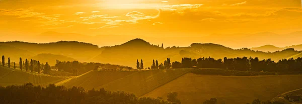 Viñedos en Austria sur de Estiria, región vinícola , — Foto de Stock