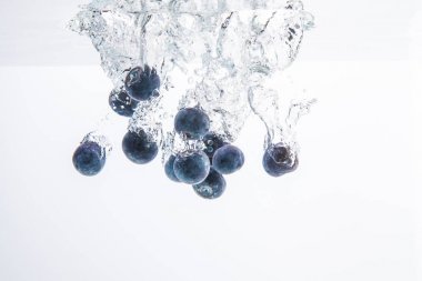 Beyaz arka planda izole hava kabarcıkları ile sualtı batan yaban mersini
