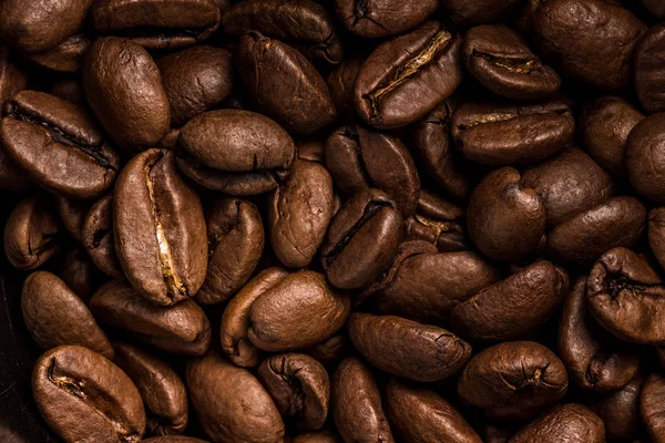 Grains de café fond brun — Photo