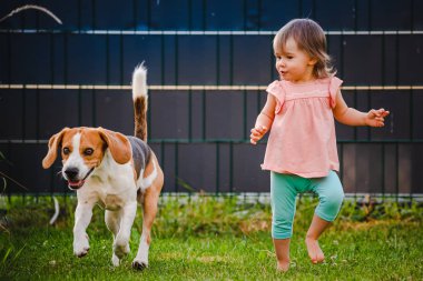 Sevimli bebek kız yaz günü bahçede beagle köpek ile birlikte çalışır