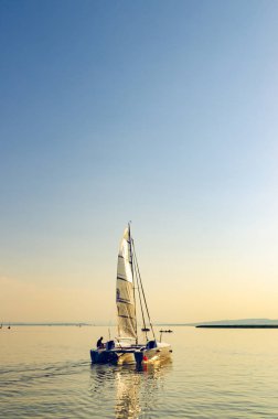 Avusturya Burgenland Neusiedlersee göl üzerinde Katamaran
