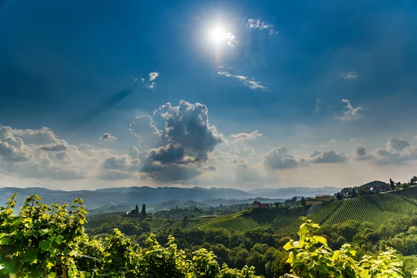 Österreich Weinberge Sulztal Weinstraßengebiet Südsteiermark, Wein — Stockfoto