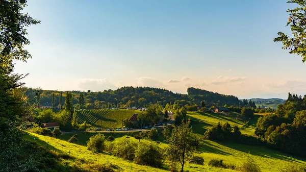 Austria Vigneti Sulztal zona strada del vino sud Stiria, vino c — Foto Stock