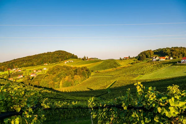 Austria Vineyards Sulztal wine street area south Styria , wine c — Stock Photo, Image