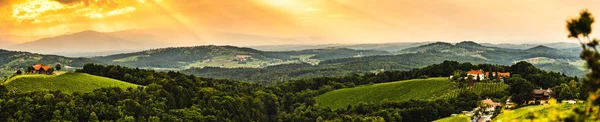 라이프니츠 지역의 파노라마 유명한 목적지 와인 컨트리, 코겔베르크 사우스 스티리아, 오스트리아. — 스톡 사진
