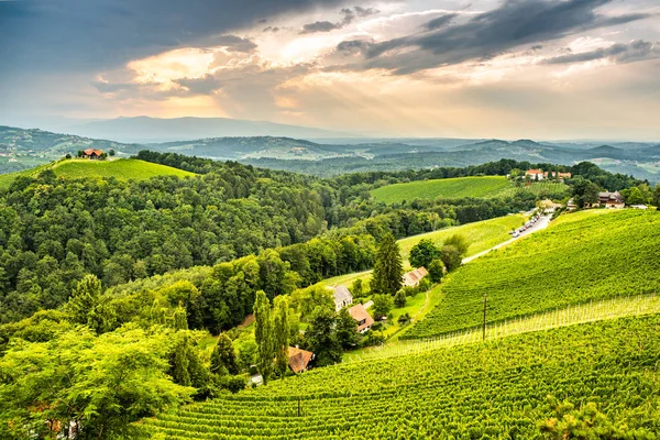 Viñedos en el sur de Estiria en Austria. Paisaje del área de Leibnitz desde Kogelberg . — Foto de Stock