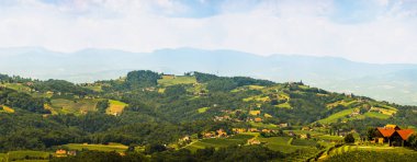 Avusturya'da güney styria Bağları Panorama. Kogelberg'den Leibnitz bölgesinin manzarası.