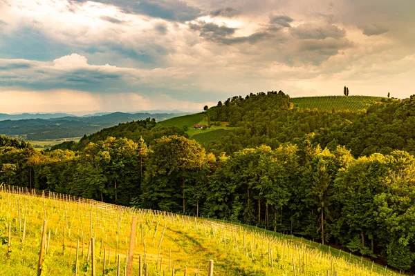 Vigneti nella Stiria meridionale in Austria. Paesaggio dell'area di Leibnitz da Kogelberg . — Foto Stock