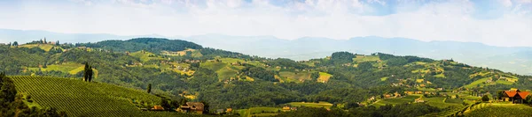 Weinbergpanorama in der Südsteiermark in Österreich. Landschaft des Leibnitzer Landes vom Kogelberg aus. — Stockfoto