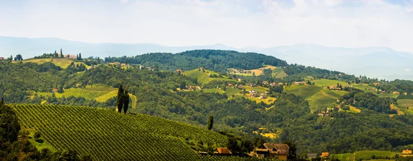 Panorama winnic w południowej Styrii w Austrii. Krajobraz Leibnitz z Kogelberg. — Zdjęcie stockowe