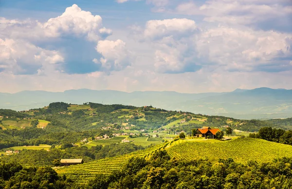 Vigneti nella Stiria meridionale in Austria. Paesaggio dell'area di Leibnitz da Kogelberg . — Foto Stock