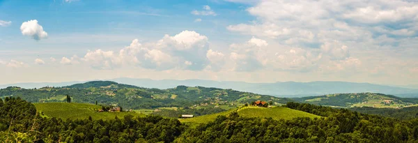 Panorama dei vigneti nella Stiria meridionale in Austria. Paesaggio dell'area di Leibnitz da Kogelberg . — Foto Stock