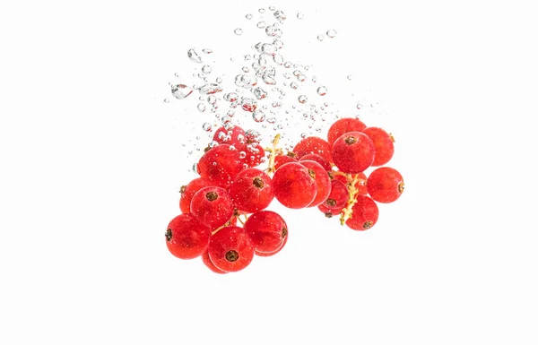 Bündel roter Johannisbeeren versinken im klaren Wasser, isoliert auf weißem Hintergrund — Stockfoto