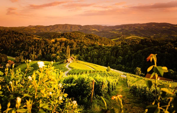 Berühmte herzförmige Straße bei Weinbergen in Slowenien nahe der Grenze zu Österreich-Südsteiermark. — Stockfoto