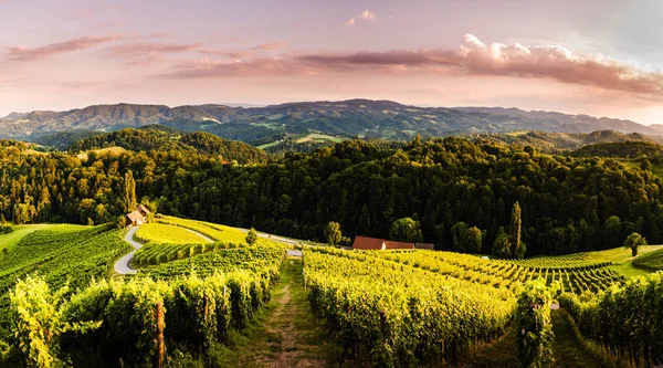 Famosa strada a forma di cuore a vigneti in Slovenia vicino al confine con l'Austria Stiria meridionale . — Foto Stock